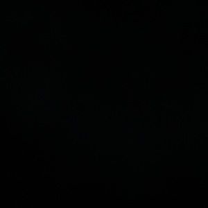 Meet your Posher, Daisy